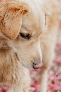 WhatsApp Bild 2024-10-21 um 20.09.58_14930500-klein