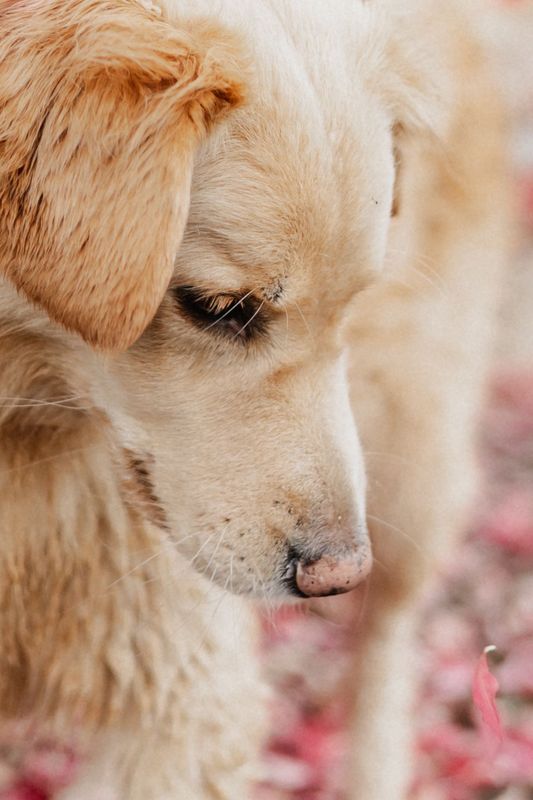 WhatsApp Bild 2024-10-21 um 20.09.58_14930500-klein