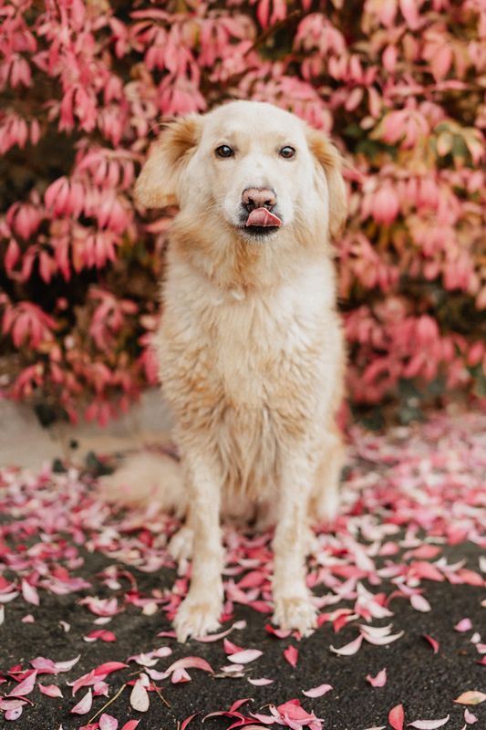 WhatsApp Bild 2024-10-21 um 20.10.00_321ac38f-klein